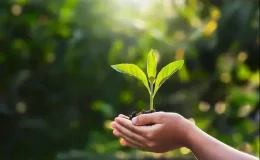 Dia do meio ambiente é comemorado em 5 de junho