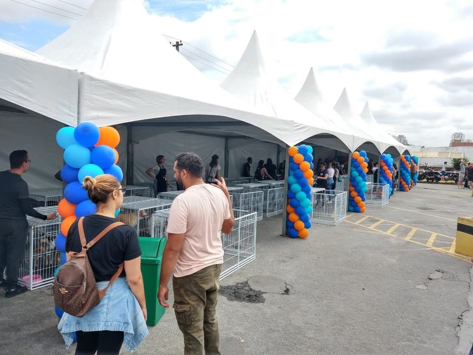 Uma das feiras de adoção de março na Cobasi