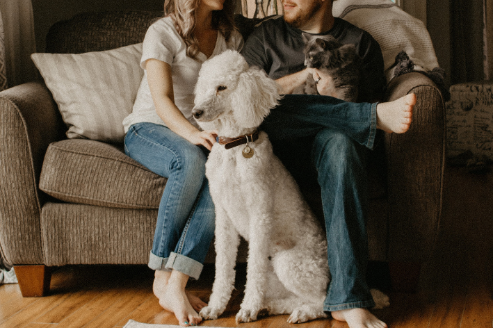 cachorros juntos com família sentada no sofá