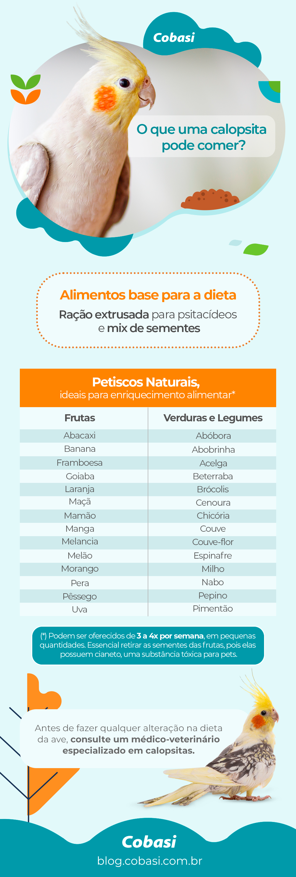 relação de alimentos que a calopsita como