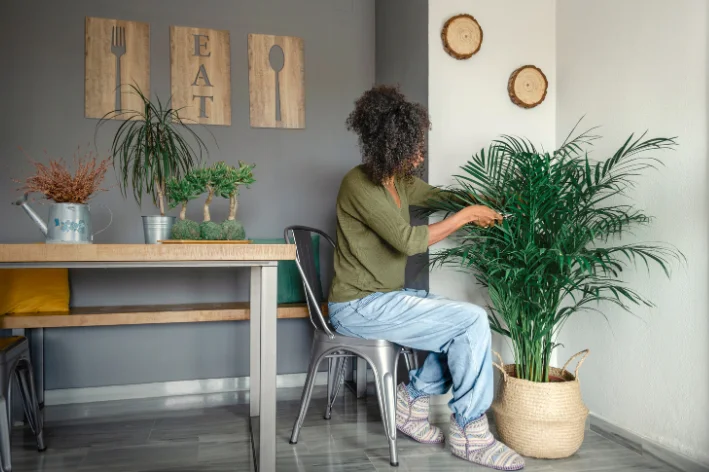 plantas para cultivar em casa