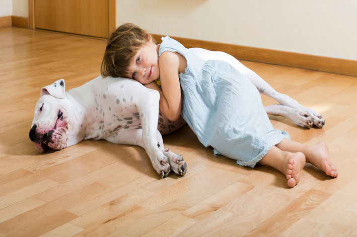 dog argentino