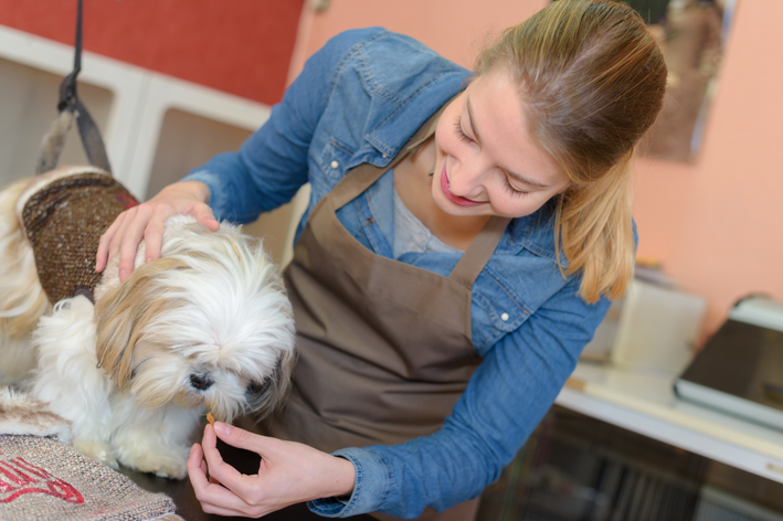 O uso de Endogard para a proteção de cães