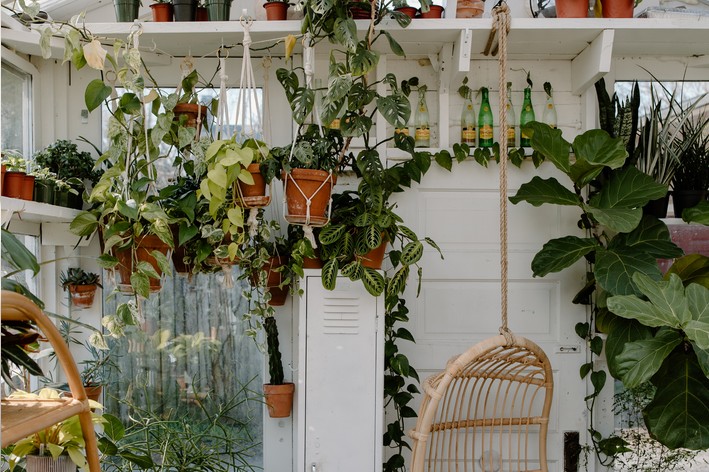 vaso jardim vertical de folhagens na varanda de casa