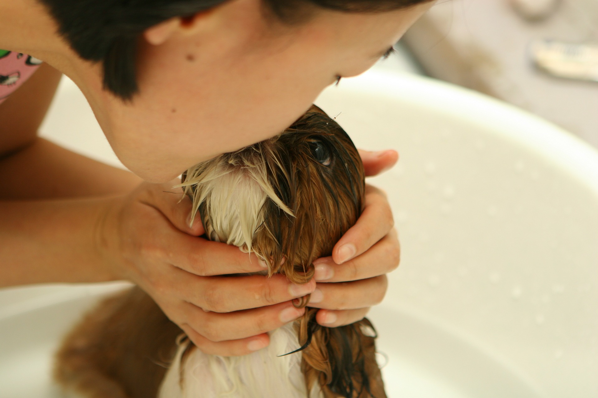 Compra da pet anjo leva serviços para Cobasi