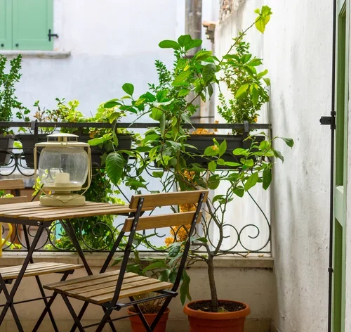 jardim simples no quintal