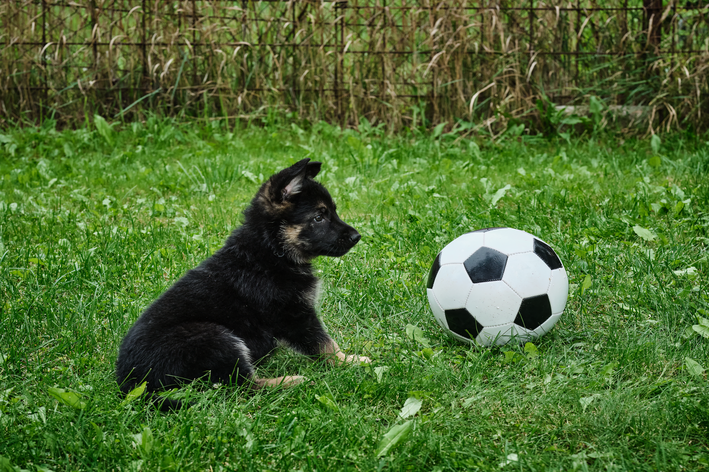 Nomes inspirados em jogadores de futebol