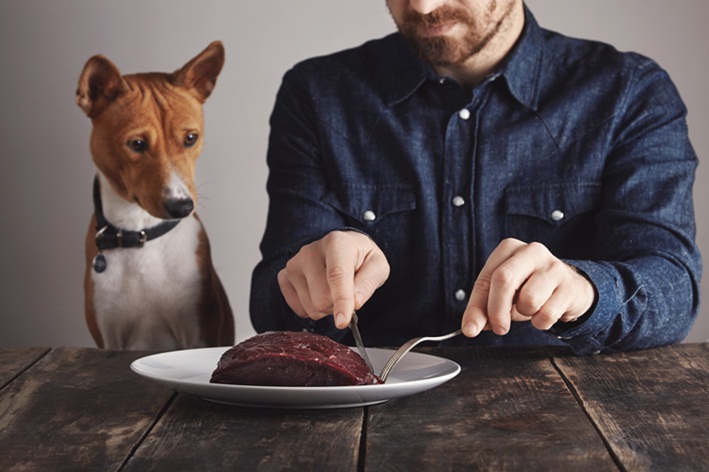 cachorro pode comer carne crua