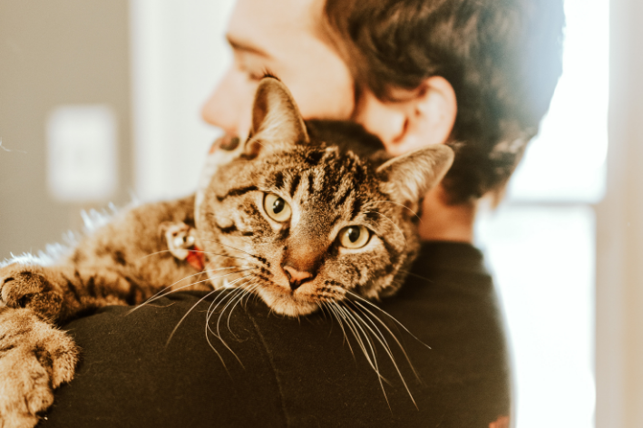 homem segurando gato no colo