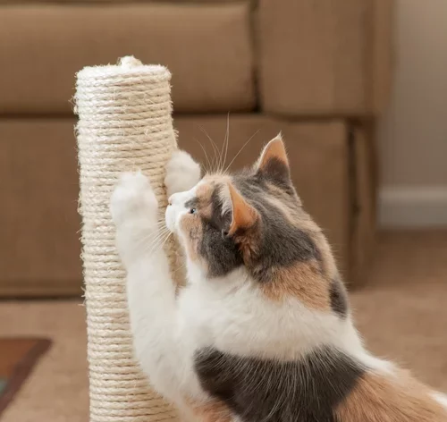 como fazer arranhador para gatos de sisal