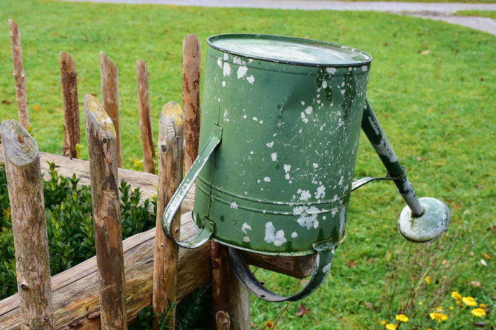 Como fazer cerca de eucalipto para jardim