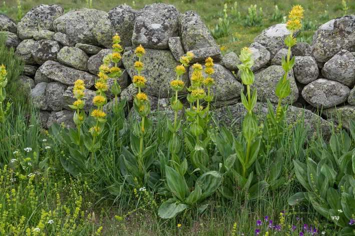 Como fazer mureta para jardim