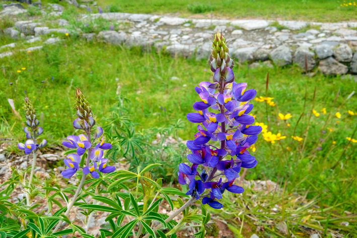 Como fazer mureta para jardim