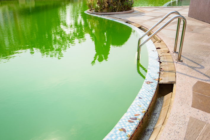 como limpar piscina verde em minutos