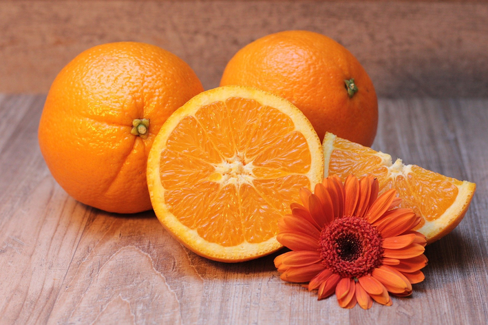 papagaio pode comer laranja