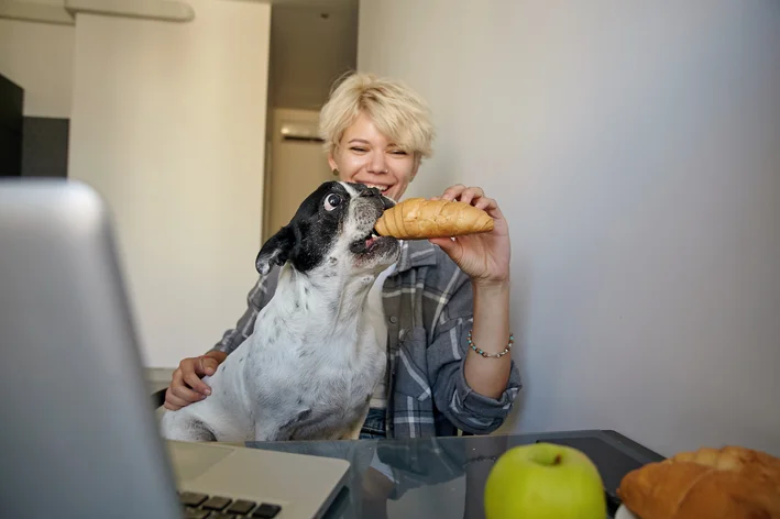 Pode dar pão para cachorro