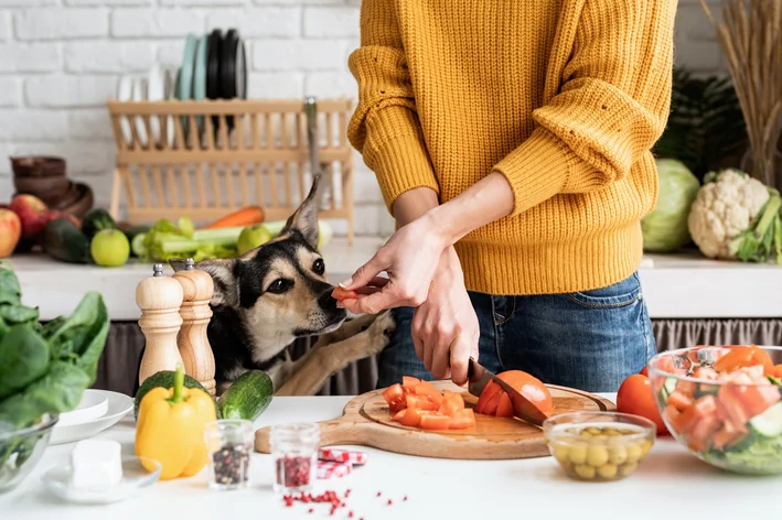 pode dar pimentao para cachorro