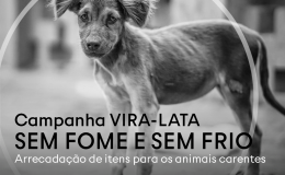 vira-lata sem fome