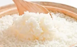 gato pode comer arroz