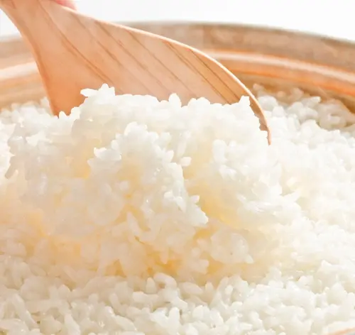 gato pode comer arroz