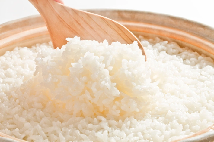 imagem de Gato pode comer arroz? Descubra!