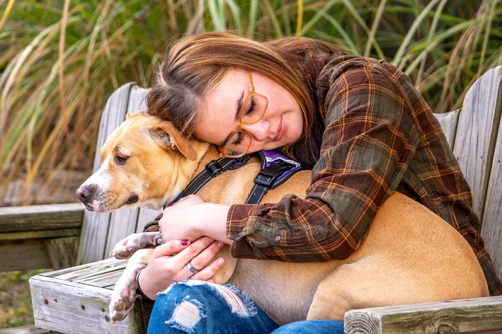 convulsões em cães