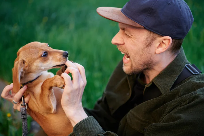 como fazer o cachorrinho parar de morder