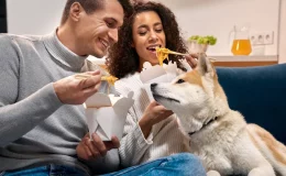 cachorro pode comer macarrão capa alt