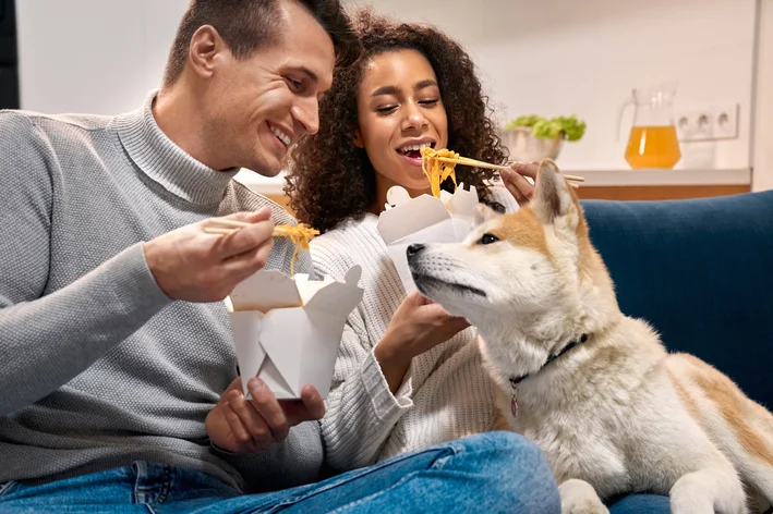 cachorro pode comer macarrão capa alt