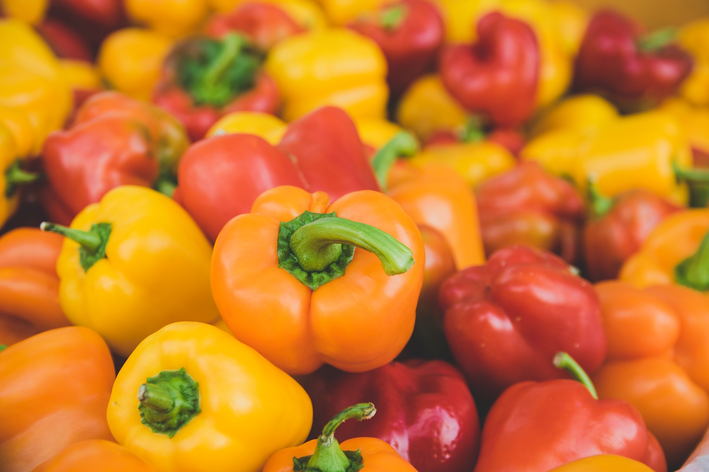 Como plantar pimentão de todas as cores em casa