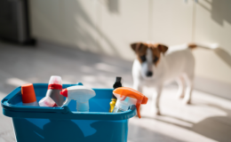 balde com desinfetante para cachorro na cozinha