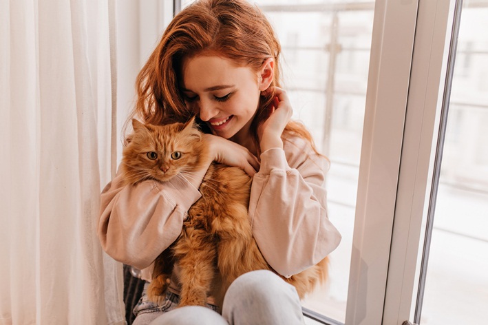 por quanto tempo um gato lembra do dono