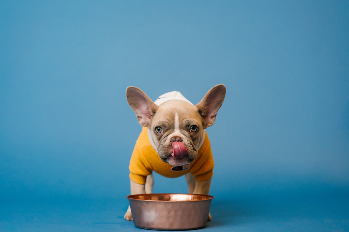 como é feita a ração de cachorro