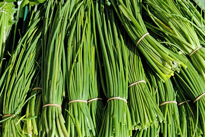 Como plantar cebolinha em passos simples