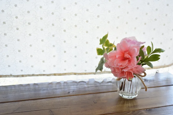 plantas para o quarto Azaleia