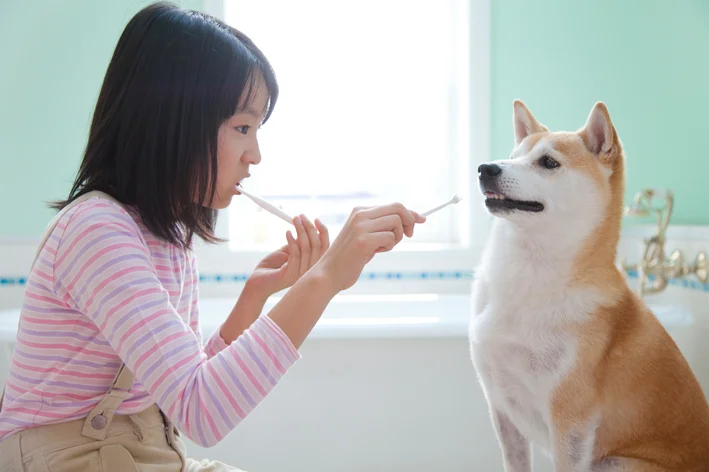 como evitar mau halito em cachorro