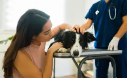 Mulher acariciando cachorro de raça Border Collie em consulta veterinária, com veterinarian ao fundo, em ambiente clínico bem iluminado.