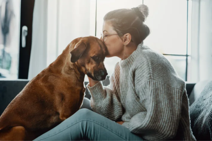 escorpiao pica cachorro