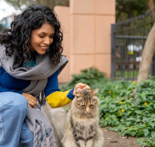 Mulher fazendo carinho em um gato de rua.