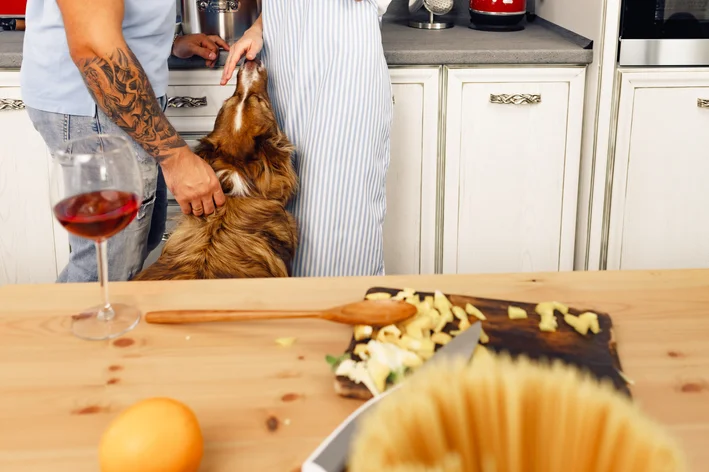 Não pode dar cebola para cachorro