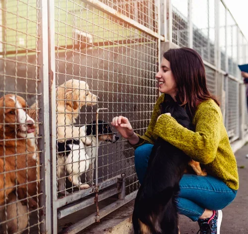 protetor dos animais em um ong