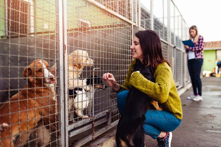 protetor dos animais em um ong