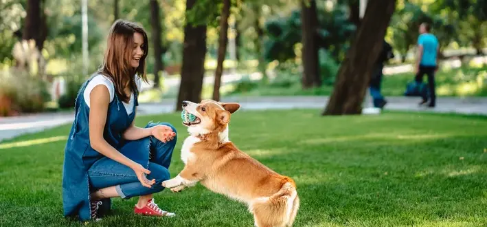 tutora e cachorro brincando no parque