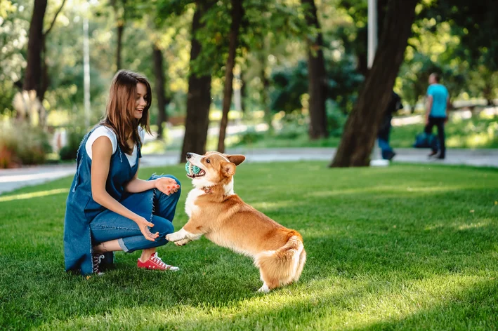 tutora e cachorro brincando no parque