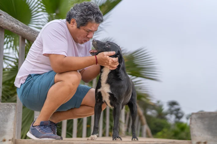 animais com vitiligo