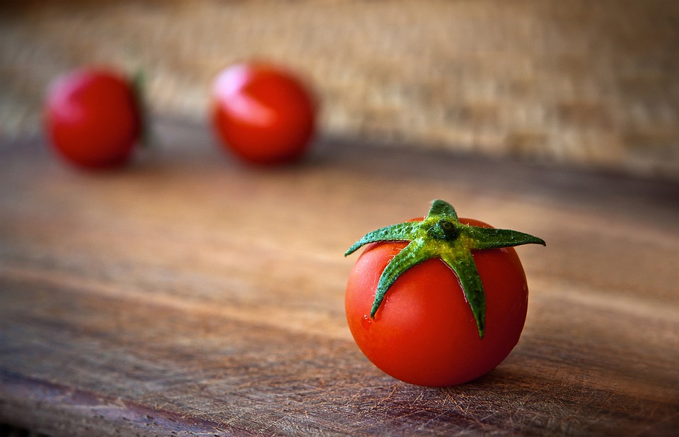 cachorro pode comer tomate