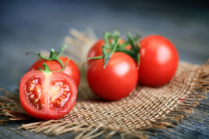 tomate faz mal para cachorro