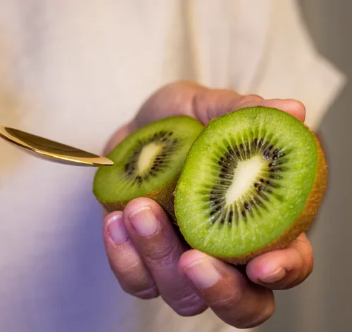 cachorro pode comer kiwi capa