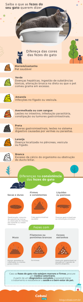 Diarreia em gatos: entenda o que causa e como ajudar seu pet infográfico sobre a diferença de cor e consistência das fezes dos gatos