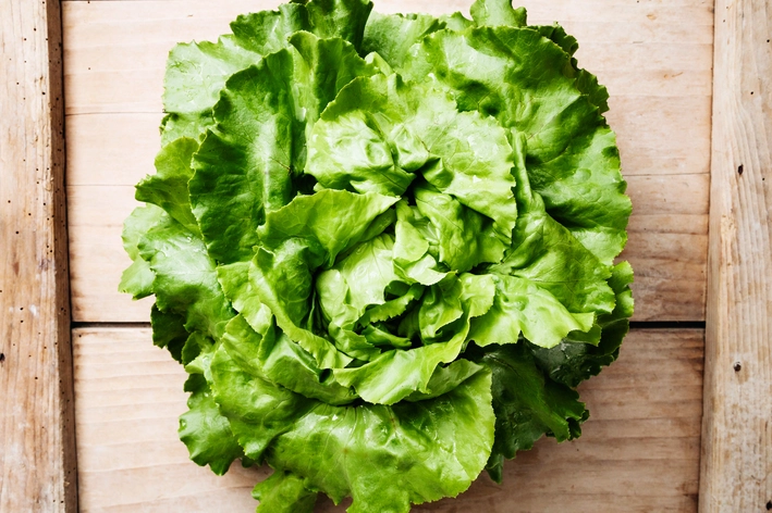 alface